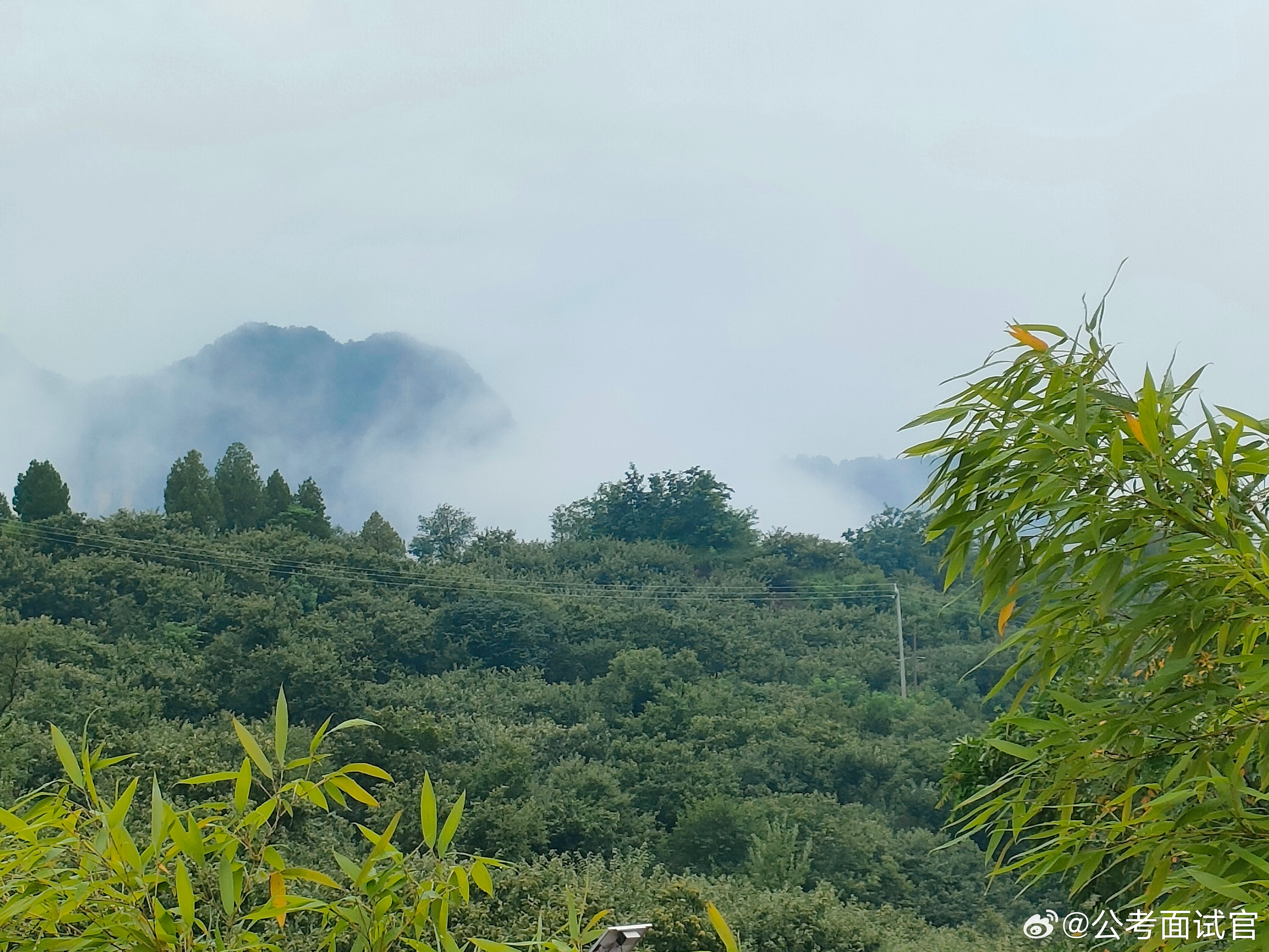 【公考面试题库】2026年8月23日湖南长沙雨花区事业单位面试题1、有地方上报的水稻种植面积与实际面