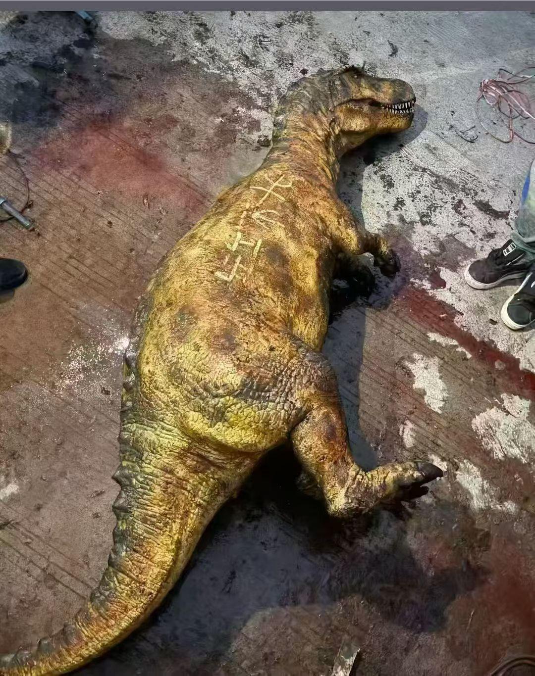 朋友叫我去他家吃狗肉冬至