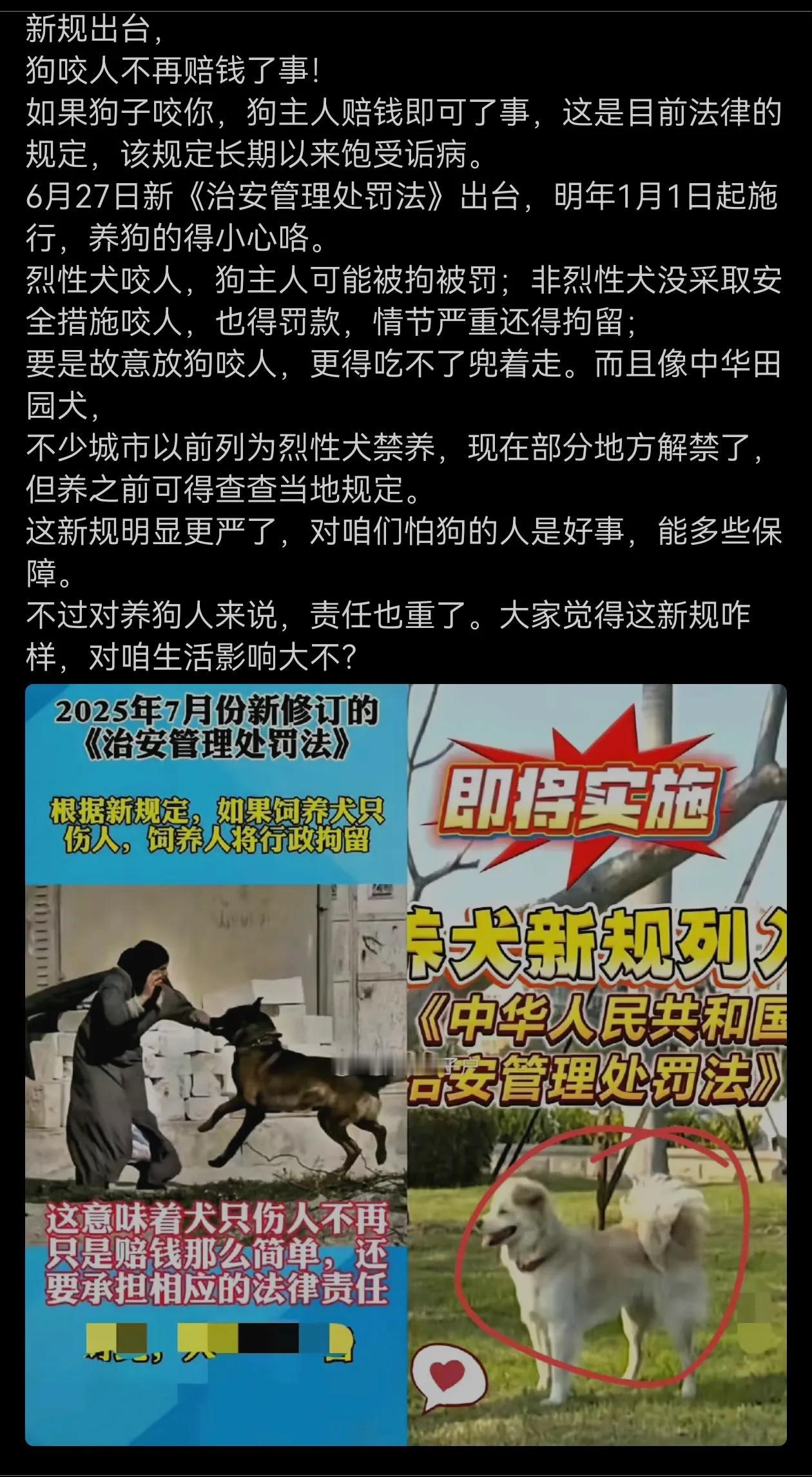 这消息靠谱吗？狗咬人狗主可能会被拘留？