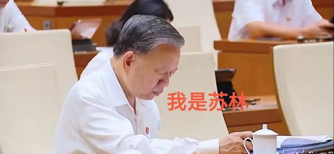 “南橘北枳”：熔炉运动与砍掉腐烂树枝！越南所开展的针对贪腐分子的行动，西方媒体