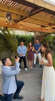 注意看！我是真的被眼前的一幕惊呆了！画面中一位男子单膝跪地，手里举着不知多