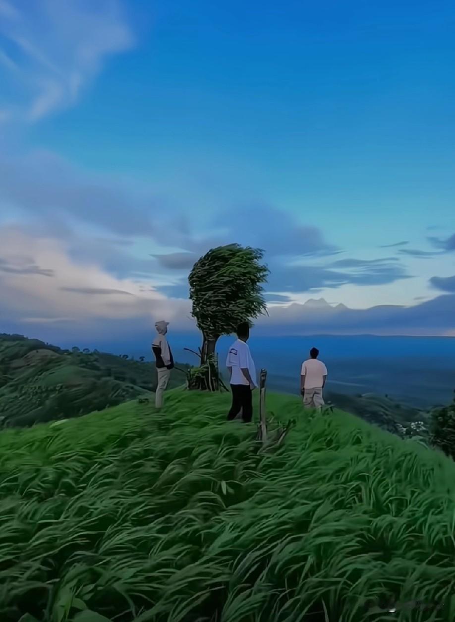 世间所有的美好发生，都始于意识的觉醒，而所有的觉醒，都要过和自己较劲这一关。