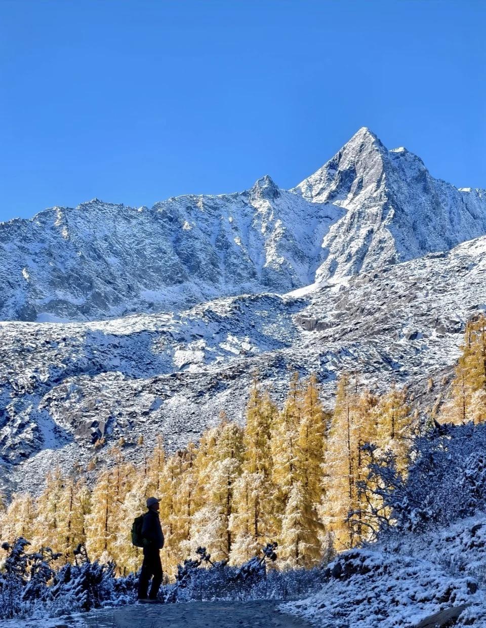 党岭|30号月末晨时秋色雪与黄叶怎么会....怎么会这么好看！😻我去过东
