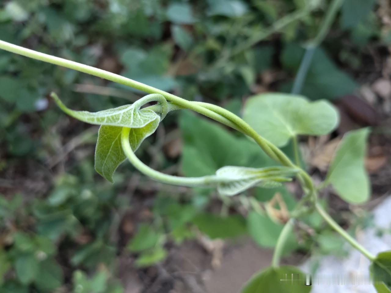 又是崭新的一天一天好心情读书写作赚钱投资助人为乐一如既往……