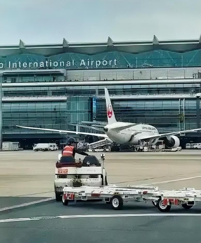 祖国善意提醒在前，漠视预警滞留机场的同胞该不该派专机接