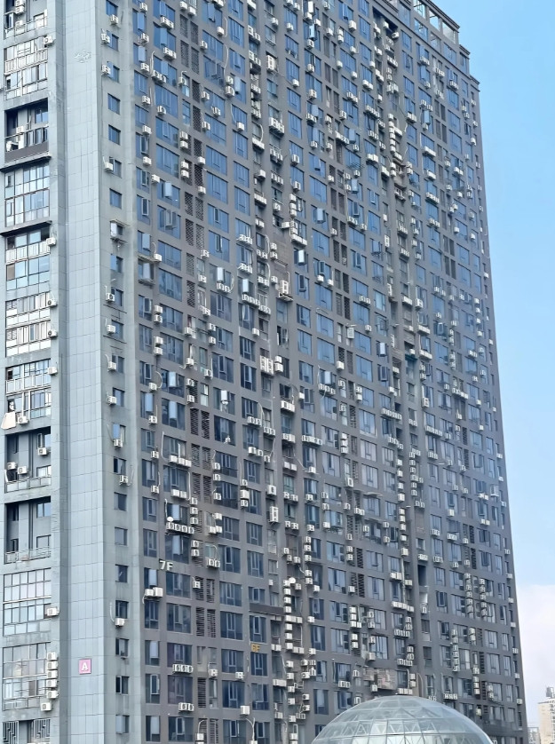 和老公出去旅游，看到这密密麻麻的把我吓一跳！还为是藤壶呢？