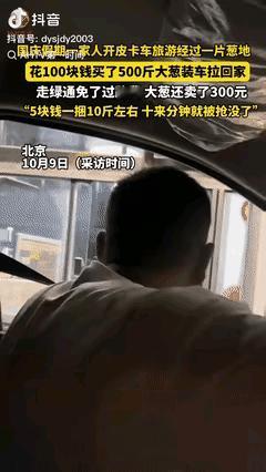 “赚大发了!”北京一男子开皮卡车带家人到承德游玩，路过一片葱地，得知只要2毛1斤