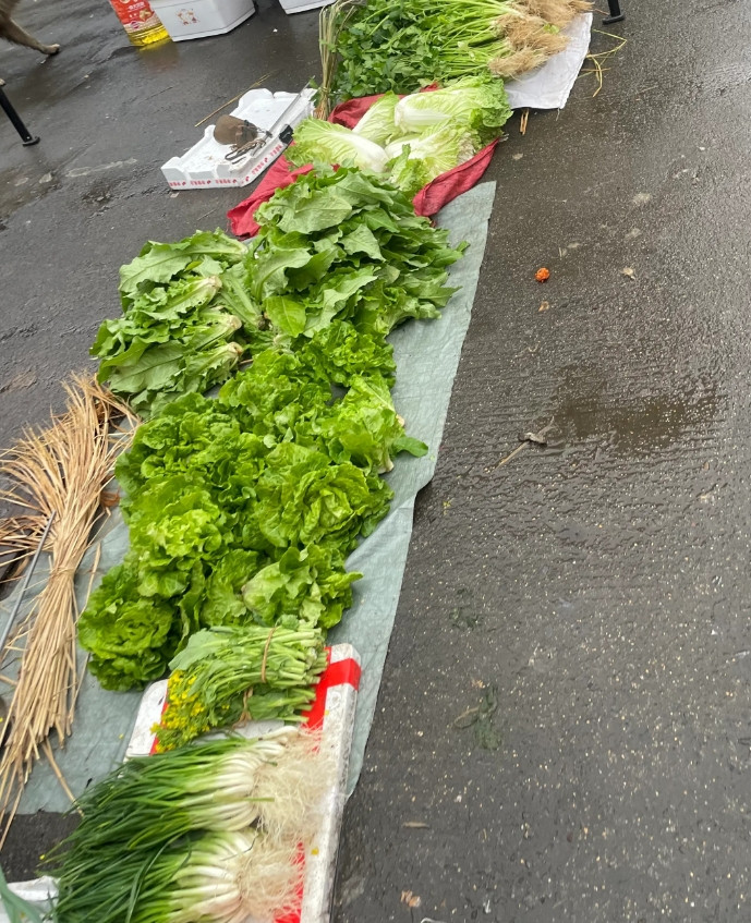 这估计是把稻草的作用发挥到了极致稻草当肥料大家应该都知道但是稻草用来捆蔬菜