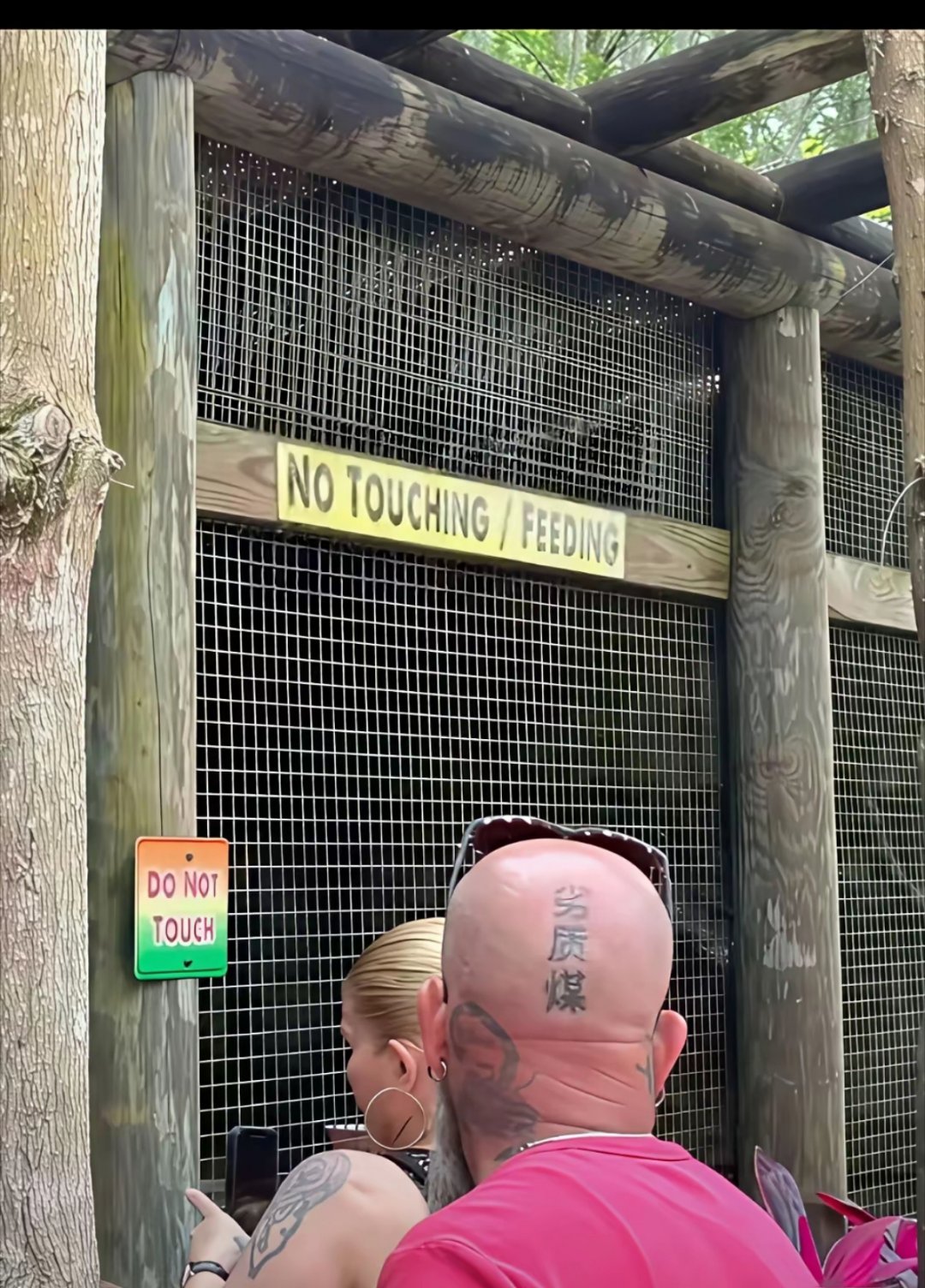 老外是真爱汉语