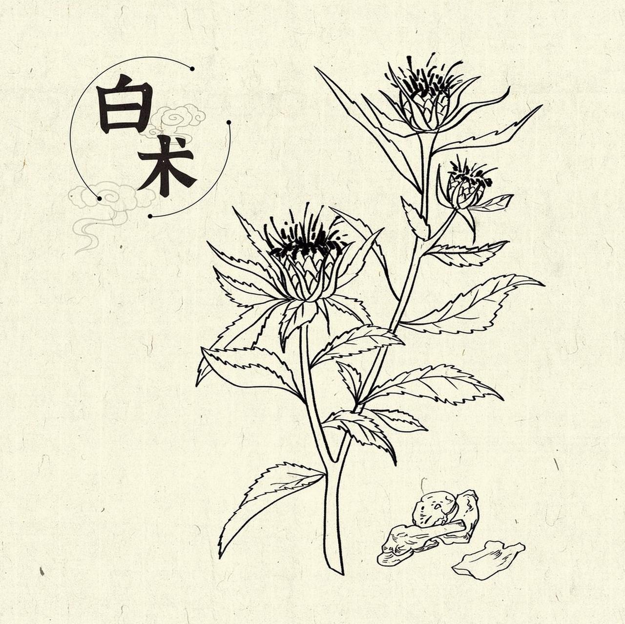 参苓白术丸：宋朝健脾方，十味药专治脾虚夹湿参苓白术丸的方子脱胎于宋代《太平惠
