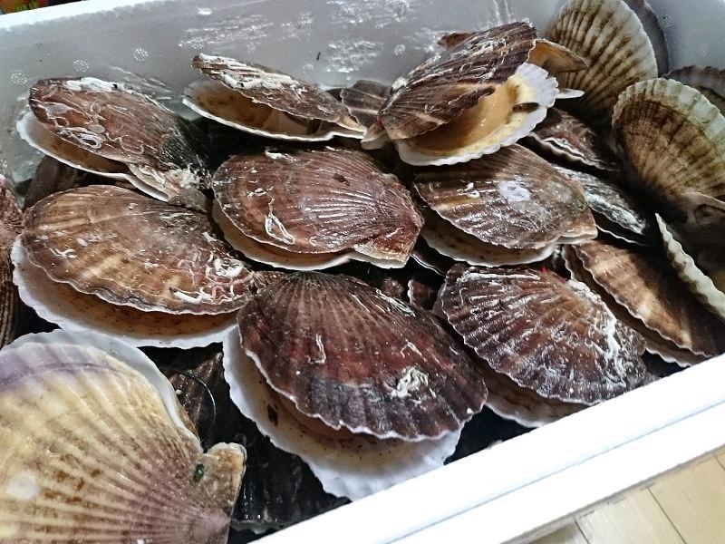 6吨日本北海道扇贝对华出口！进口企业背景与安全风险成焦点此次扇贝进口虽有