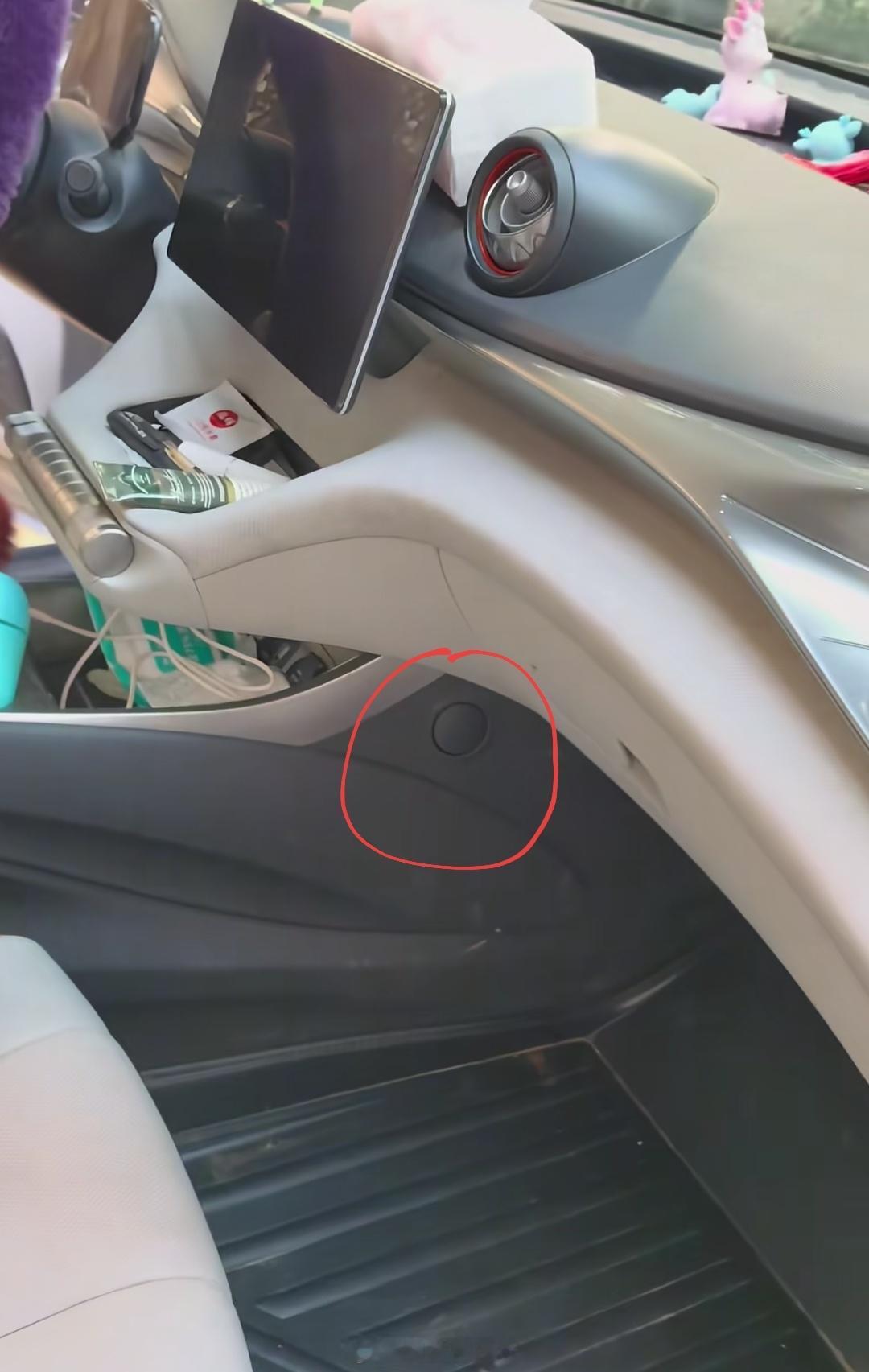 比亚迪海豚副驾这里隐藏着一个挂钩，你发现了吗