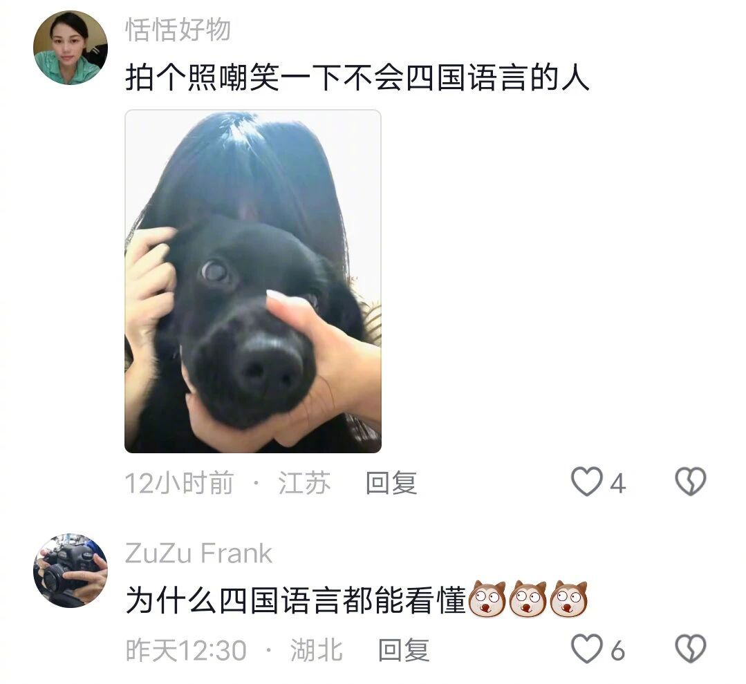 打了个车司机精通四种语言，而大家竟然都看懂了！