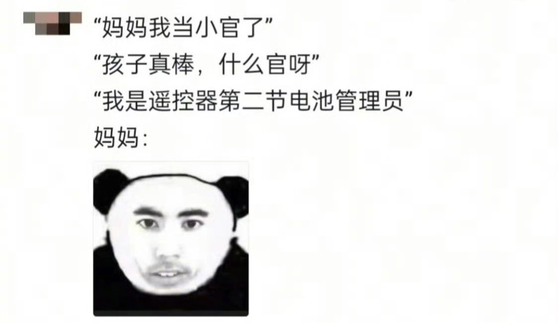 大伙儿之前都有什么荣誉或当过什么职务啊？