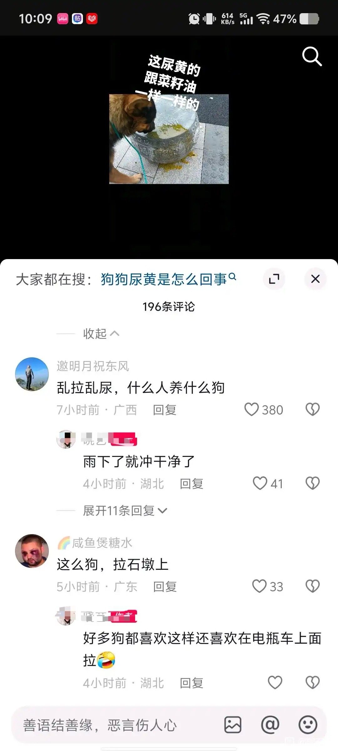 《爱宠人士》​​​