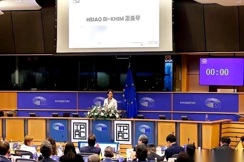 那人，还真就跑去欧洲议会演讲了。这事儿一出，我就知道，天要变了。这已经不是小