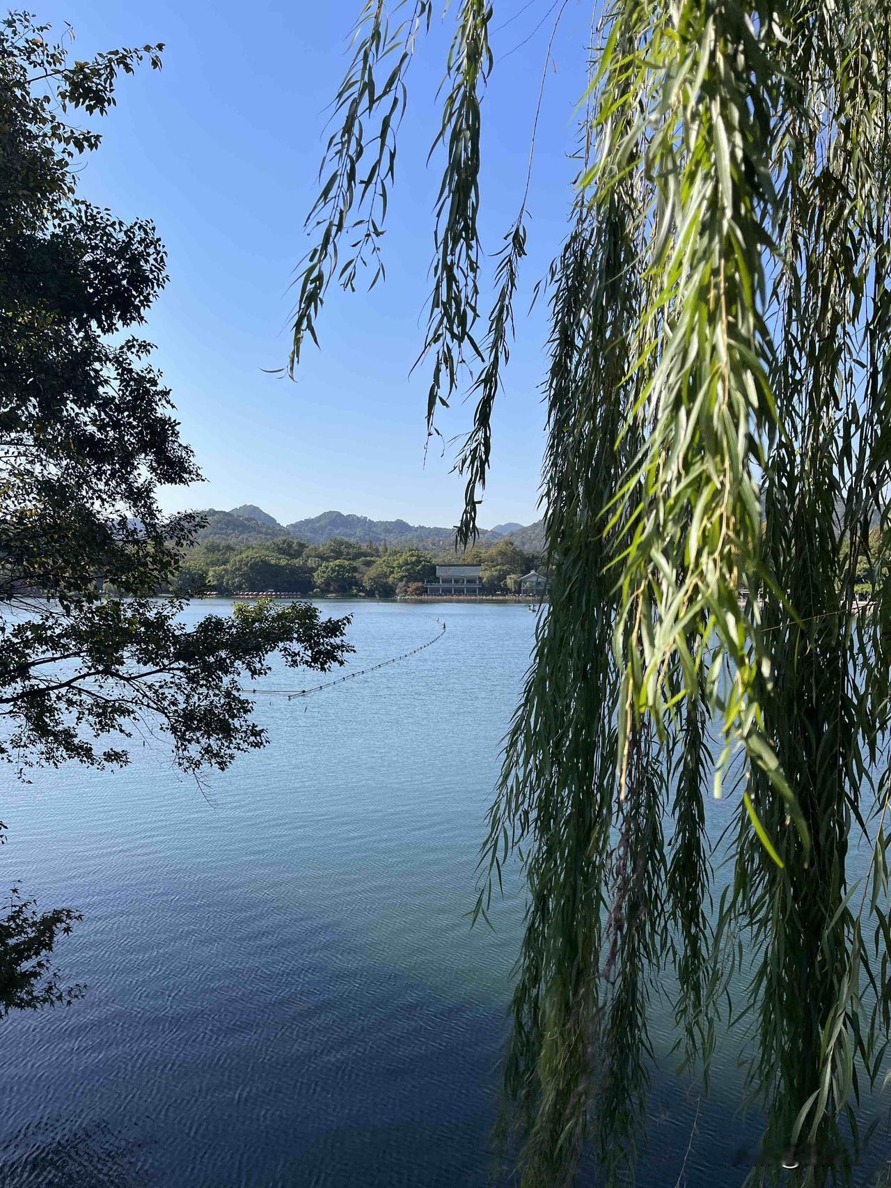 杭州西湖风景(二)杭州杭州旅游西湖旅游西湖风光摄影