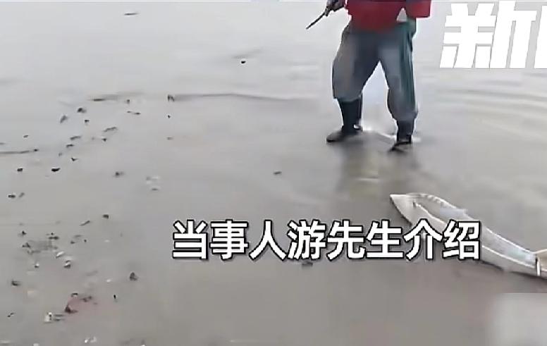 江西钓鱼佬的噩梦发生了江西九江，一名男子每次钓鱼都会在离家附近的位置，但是这次