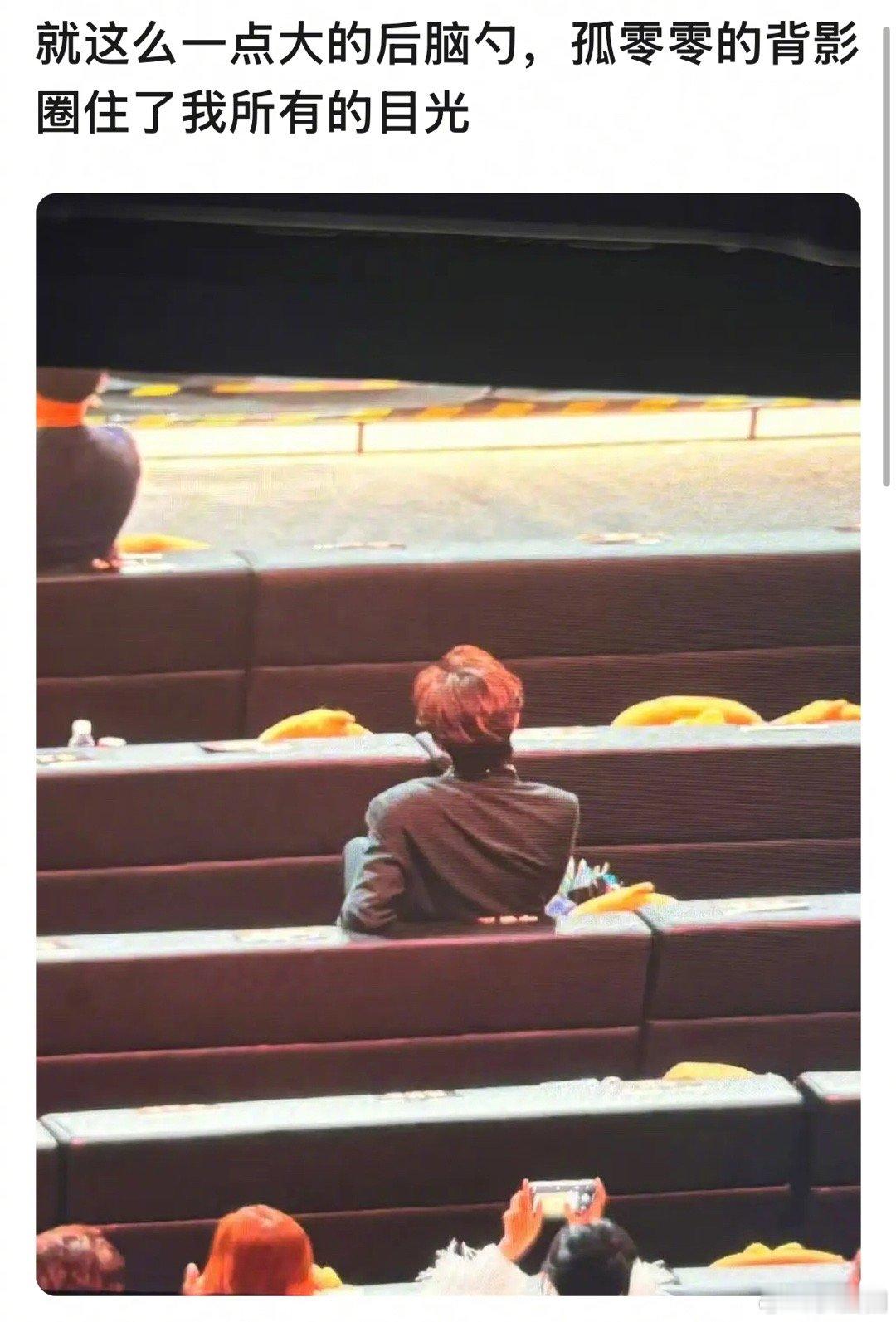 微博之夜内场还得是丁禹兮啊