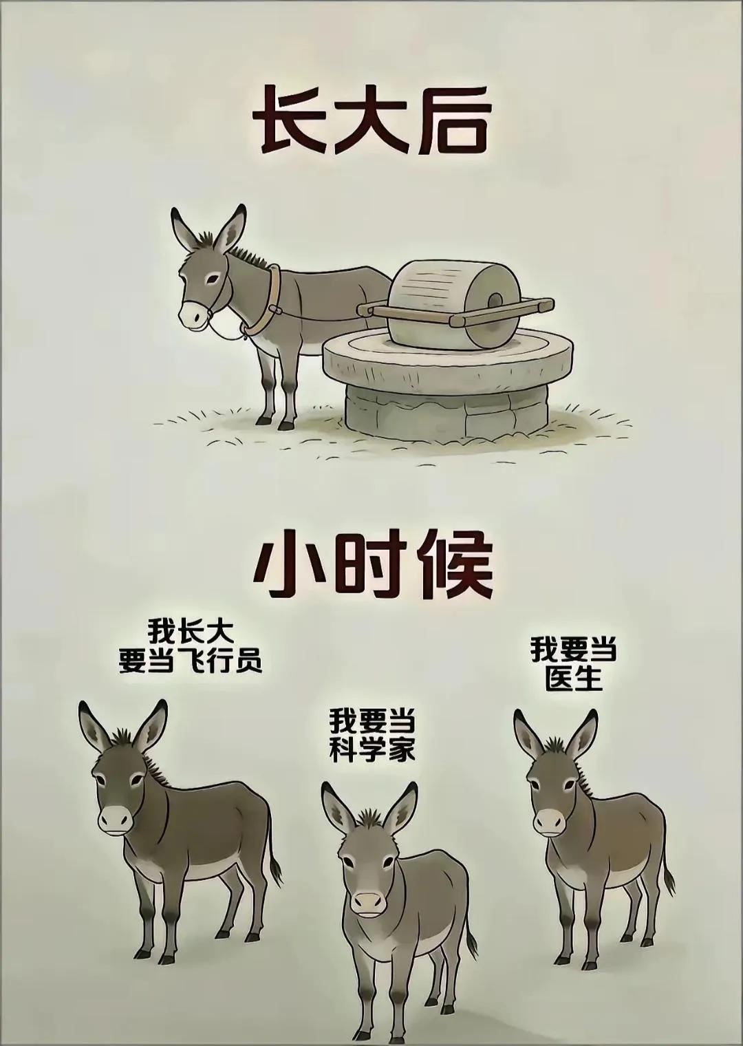 小时候梦想当飞行员，医生，科学家，长大后才发现，最难的原来是做自己。