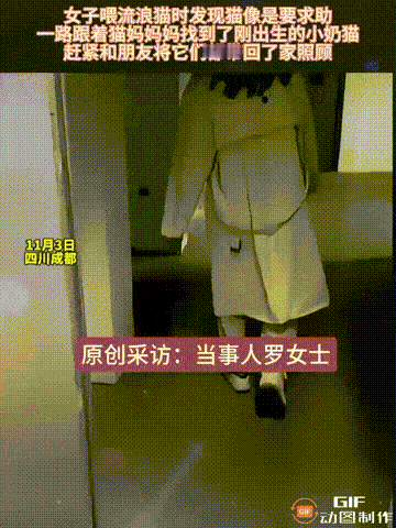 四川成都一名女子在投喂流浪猫时，发现它一直冲着自己喵喵叫，声音像是在求助一样，于