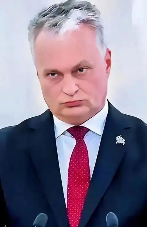 活久见！立陶宛总统瑙塞达为了推脱责任，他对着立陶宛国家广播电视台公开宣称，设在立