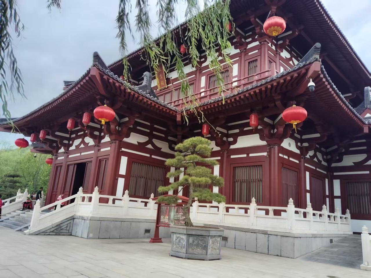 大毛:鹰酱，听说你拜了阿三为师傅，然后超越了他。鹰酱: