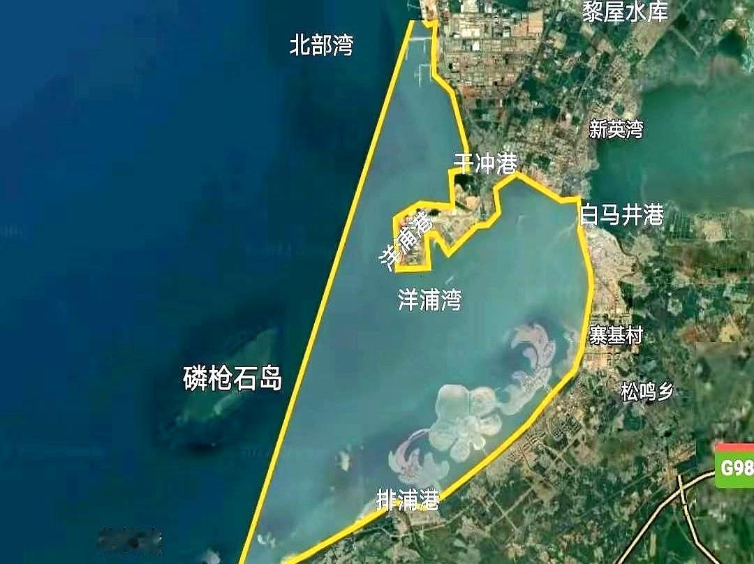 看着洋浦港这步棋，真的脊背发凉。 这哪是拍脑袋的基建？ 分明是国家队五六