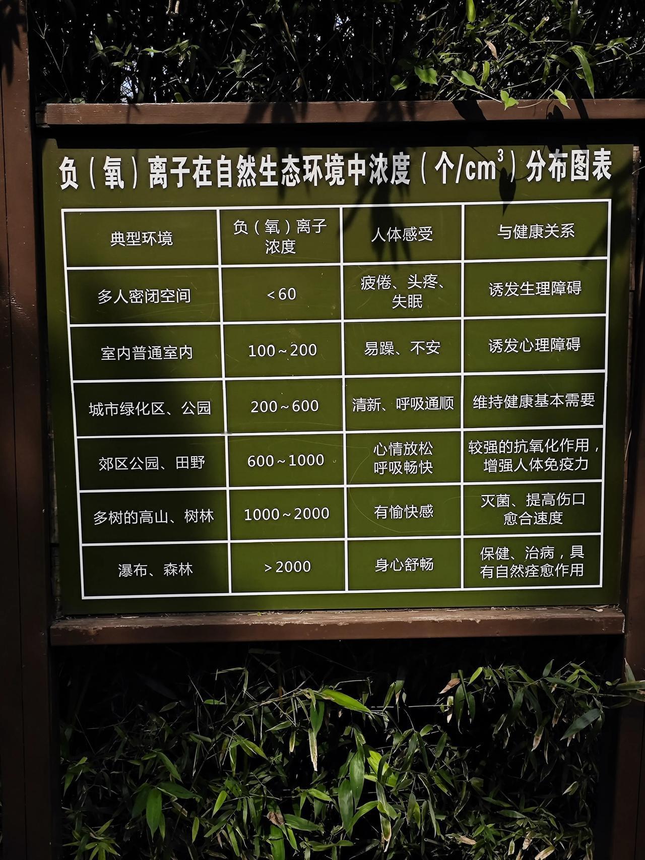 森林里空气清新,富含大量的负(氧)离子,这些微小的带电粒子能有效改善人体呼吸功能