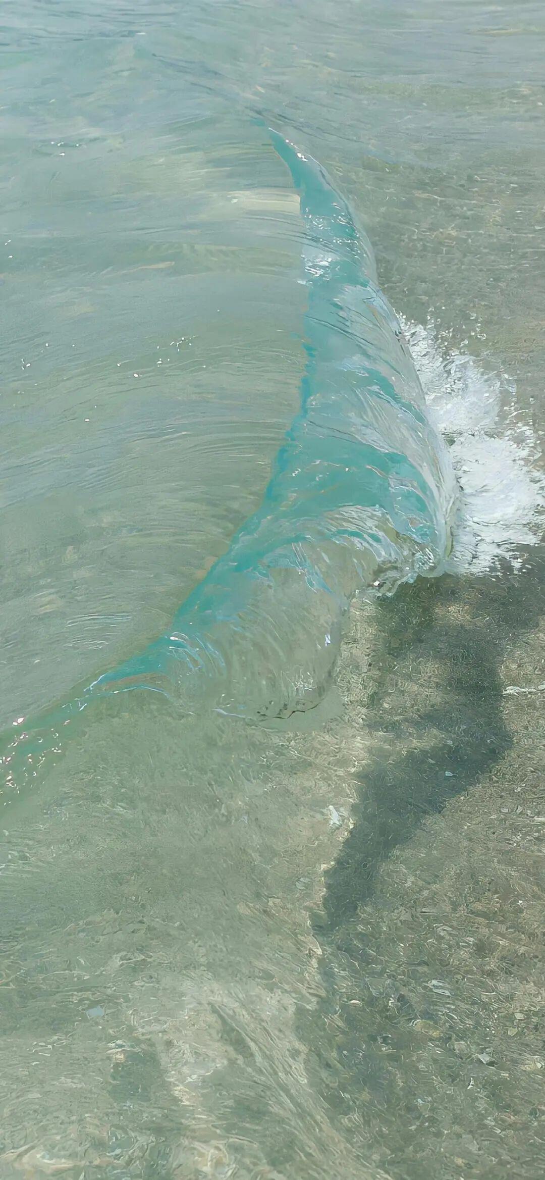 关于大海🌊｜壁纸壁纸​​​