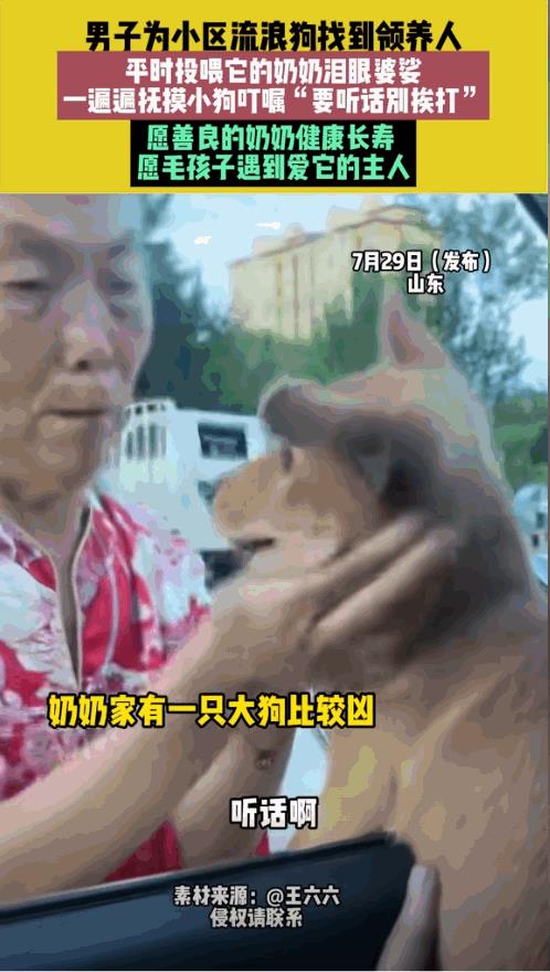“万物皆有灵！”山东一位老奶奶平时特别喜欢小动物，当看到小区的流浪狗后，总是会投