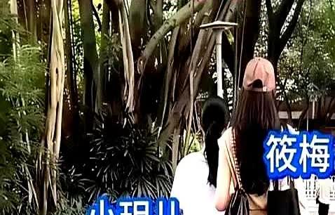 S妈最不愿意看到的事，还是发生了！自从小玥儿回到汪小菲身边后，整个人都变了