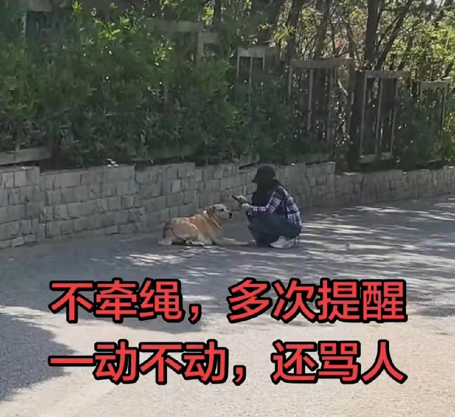 4月29日，山东，女子公园遛大狗不牵绳，一名路过的女子多次提醒，让她牵好这条大狗