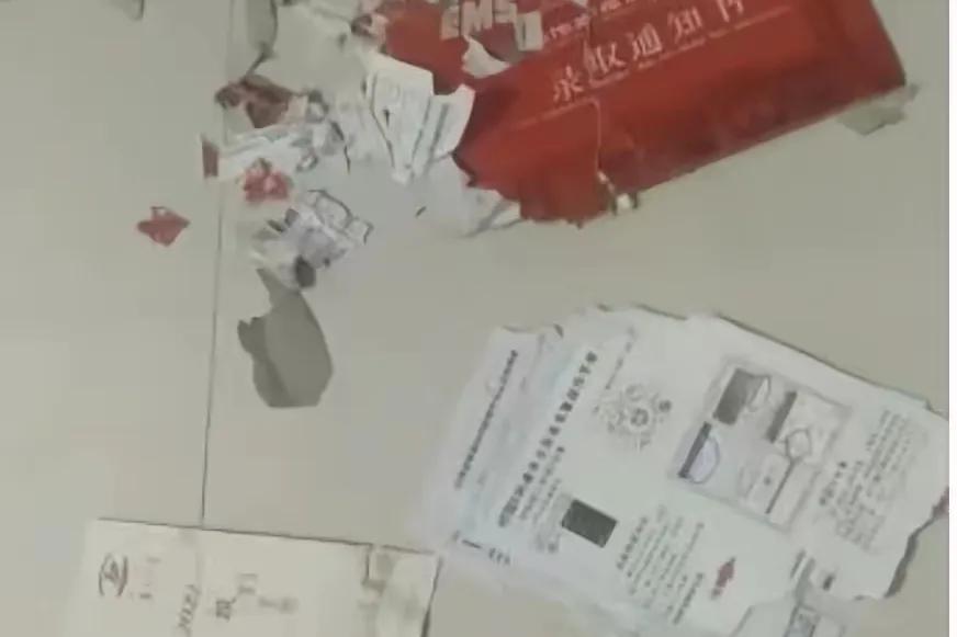 邻居女孩儿，上午刚晒出自己大学录取通知书，激动得不得了，下午就睡了一觉，起来一看