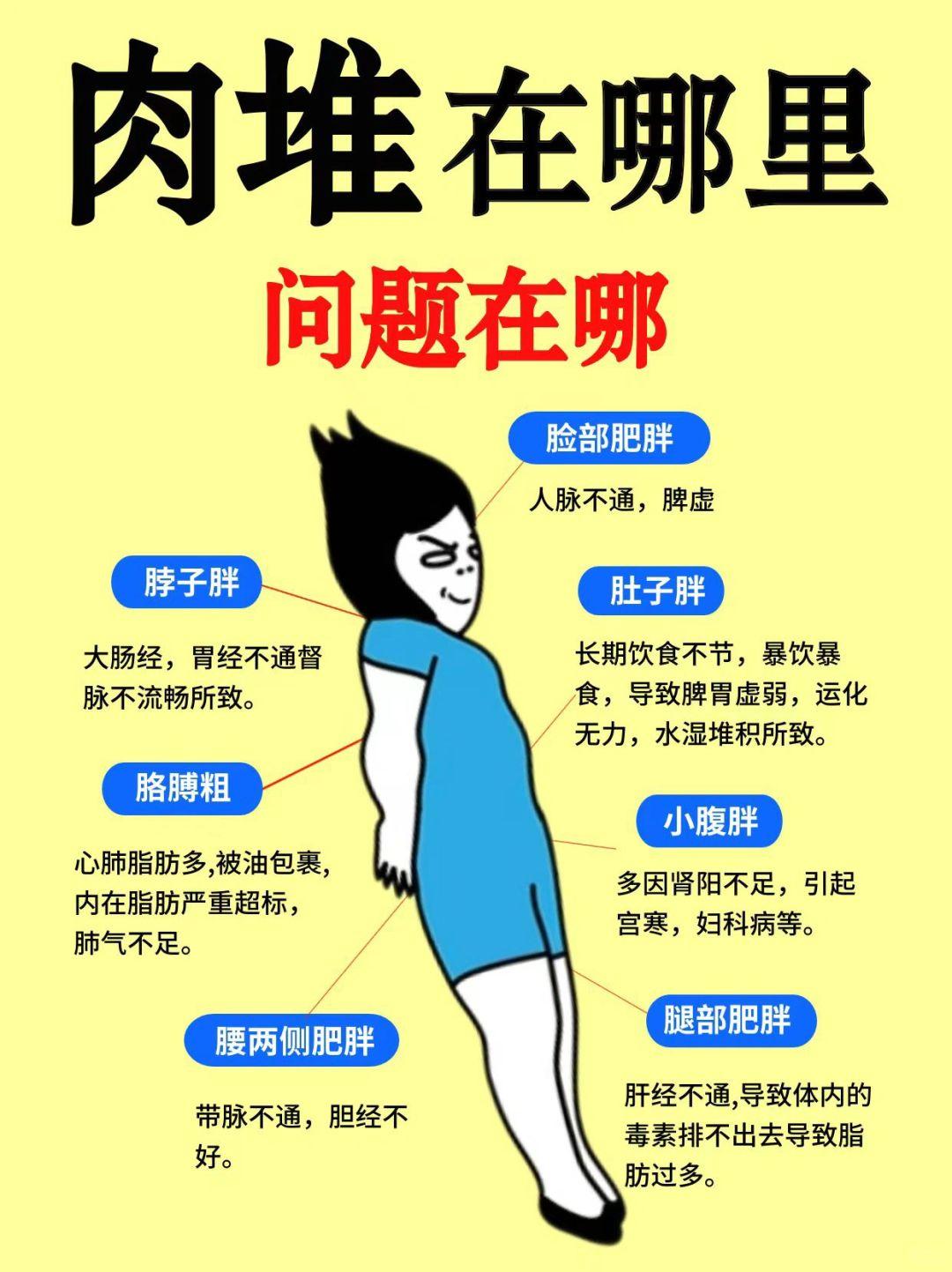 中年发福的真相不是因为代谢慢！很多人一到中年，体重就开始悄悄上涨，腰围变粗，