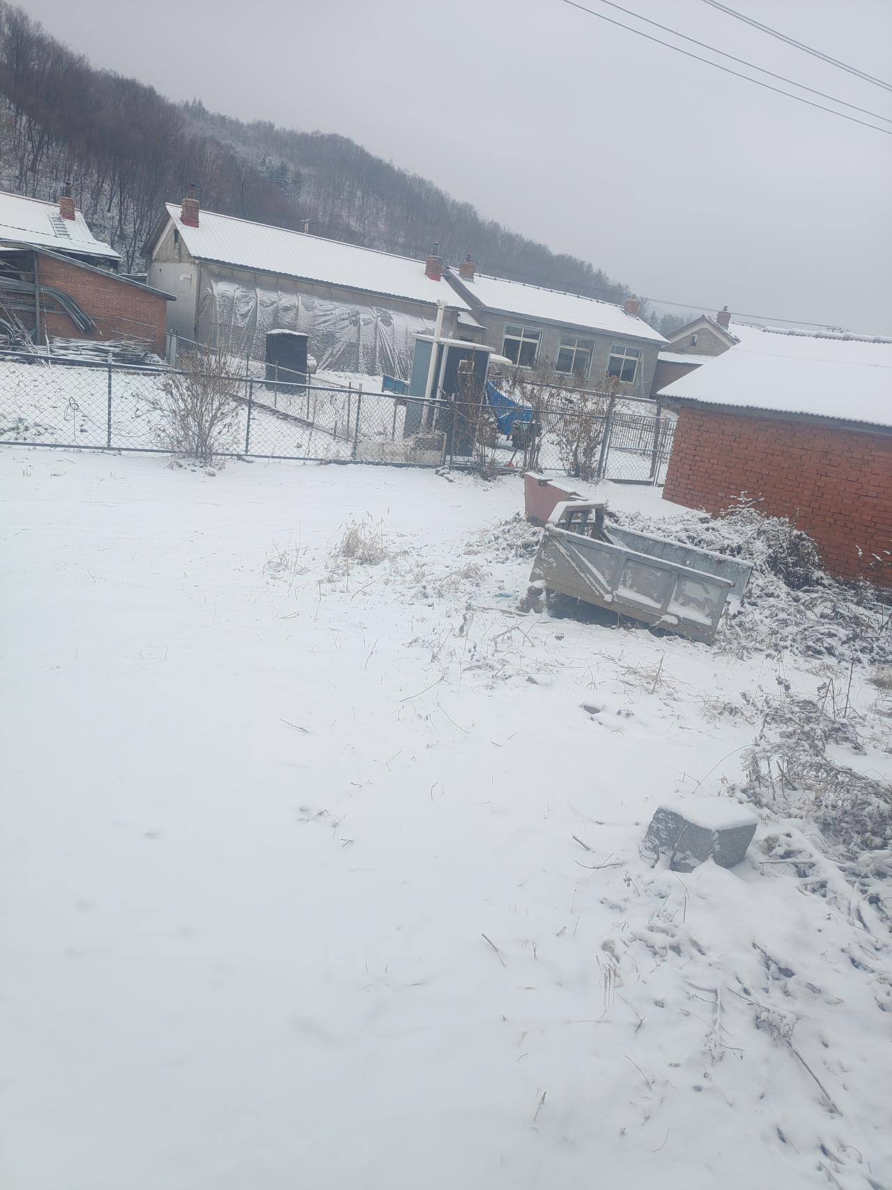 冬日生活打卡季这就是我们家的前院子，大雪覆盖了车子，房子