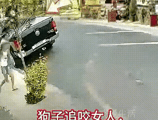 对付咬人的狗，这是最好的办法吧👍