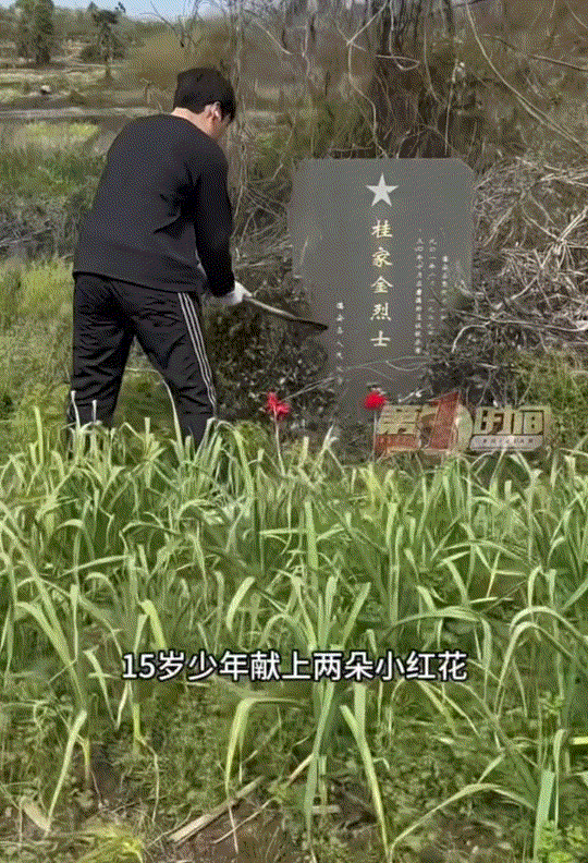江西九江，15岁少年跟妈妈回乡祭祖，途中偶遇被藤蔓遮盖的烈士墓，而少年见墓后，便