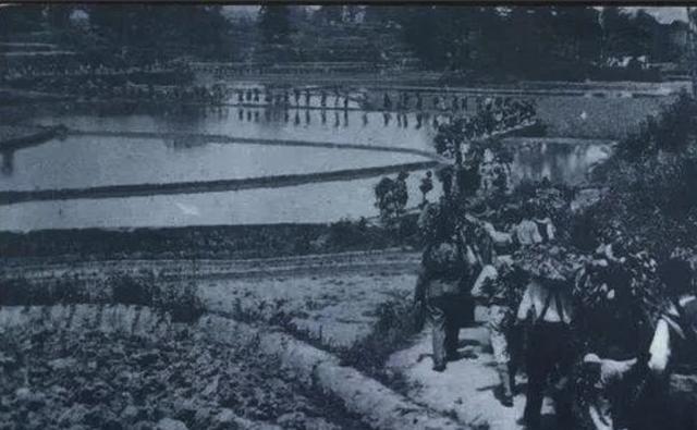 1942年，除夕夜枪声响起，团长却当鞭炮听！19团险被全歼这支部队是新四军