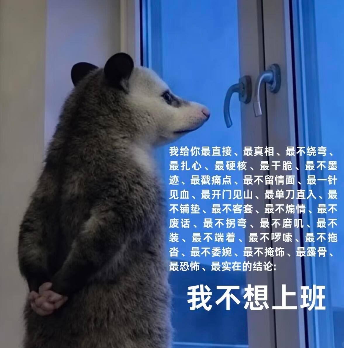 其实不想上班根本不需要辞职精神离职太理想了领导不会放过你道理都懂但就是很不