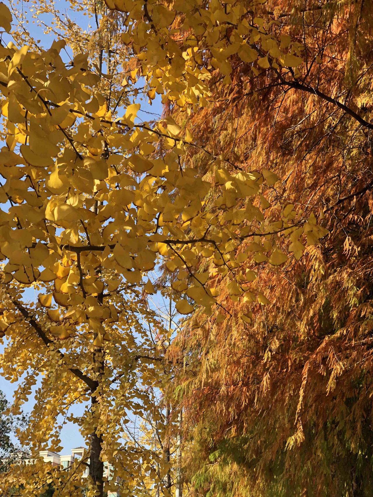 如果你还记得22年前自己的手机号码，如果已经不属于，有没有试过看看对应的微信。手