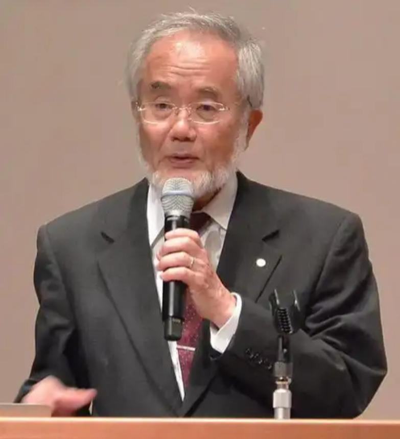 你敢想吗？日本细胞生物学家大隅良典因为探明了挨饿时机体靠“吃掉”受损细胞来自我净