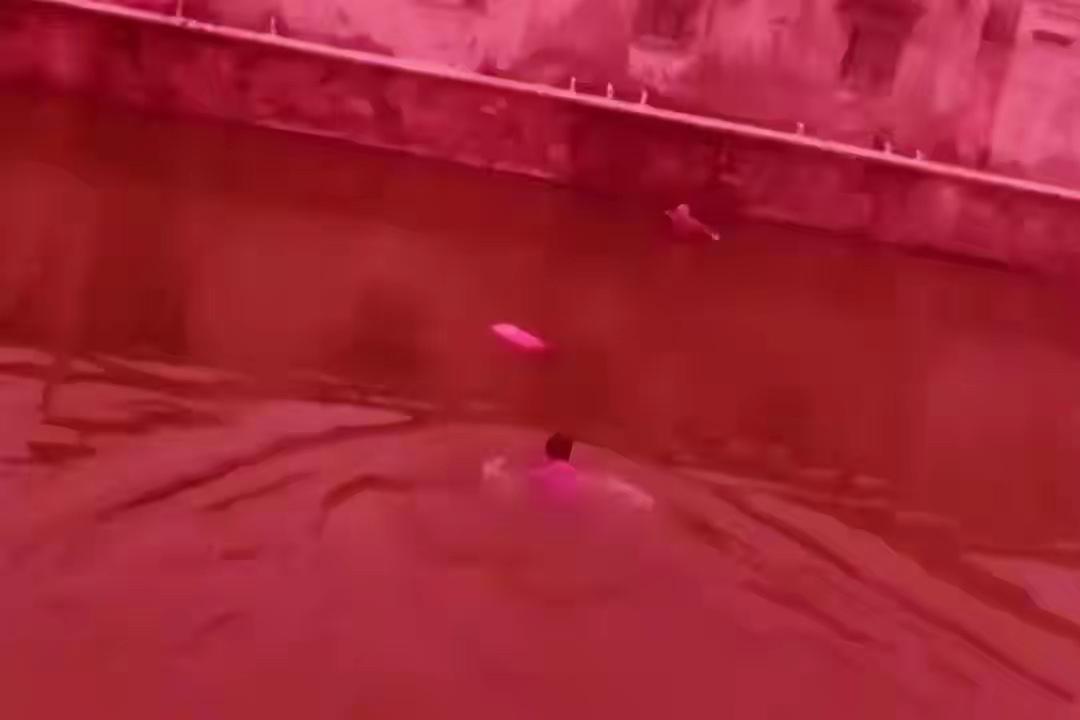 上海一女子与丈夫视频时，留下诀别的话突然断联！随后被发现漂浮在河中一动不动，丈夫