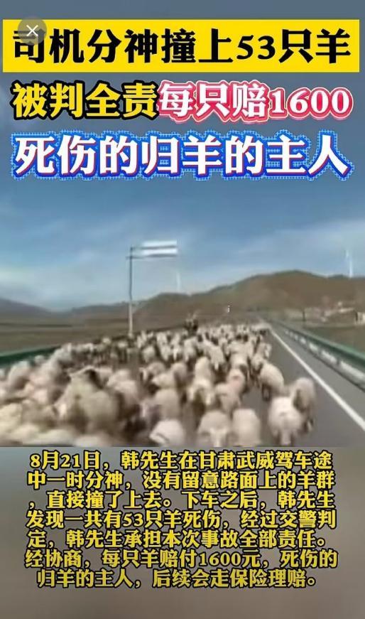 撞羊赔偿羊不能带走近日，甘肃武威一起撞羊赔偿84800元的事件引发热议。焦点