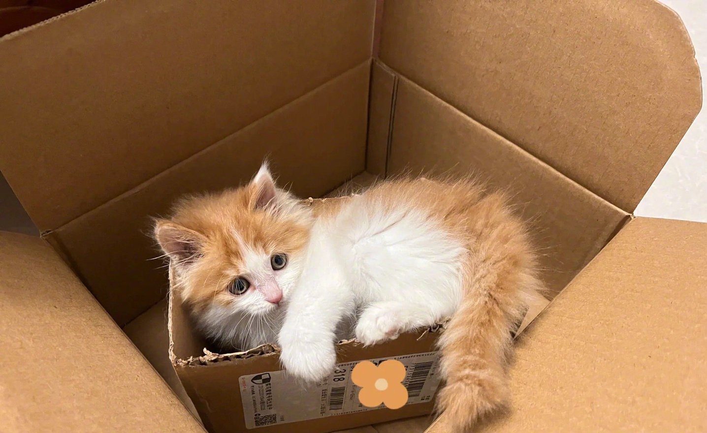 打包好了，有要的么！！