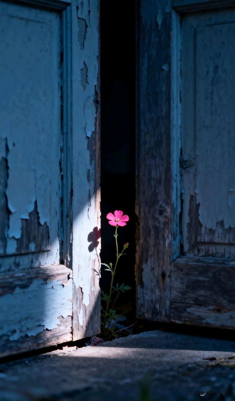 上了高中你才能明白：中考不是分层高中，而是连大学都已经分好了，越是在大城市，这