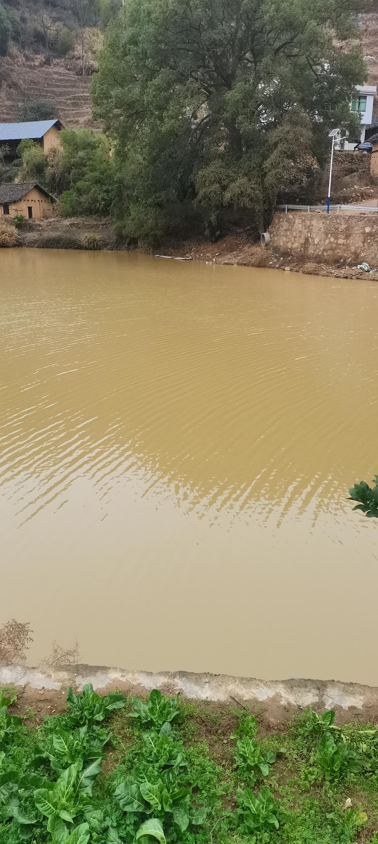印度的环境真的这么差吗？只要一进入印度国土，去哪儿都是臭气熏天的！刚刚看到一个视