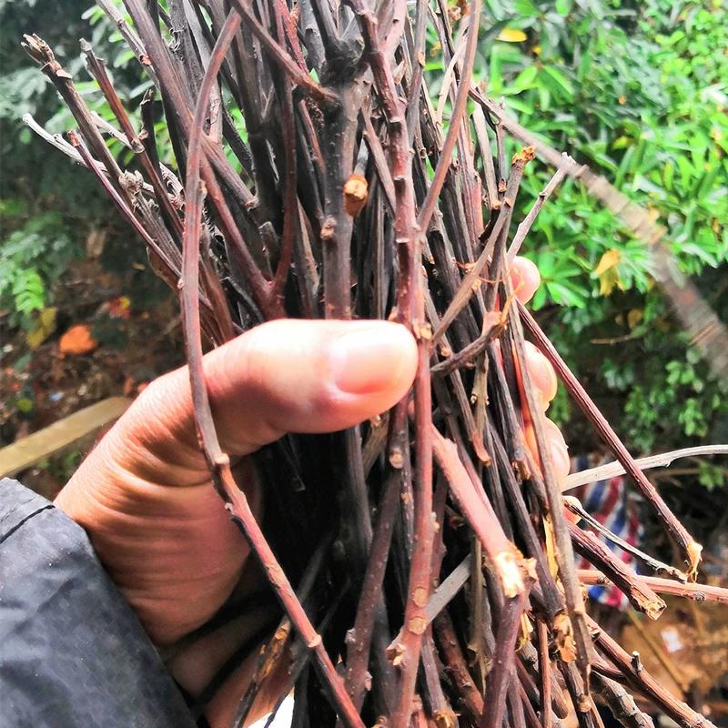 9味药配伍，调畅水道，告别频繁起夜，一家人都能睡踏实9味药组，疏肝健脾，