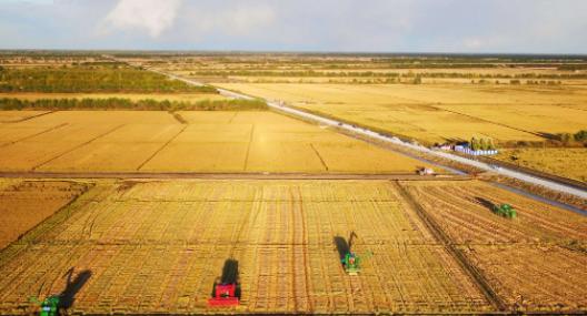 如果全球都停止出口粮食，中国能否自给自足？就这么说吧，中国停止粮食供应，全球至少