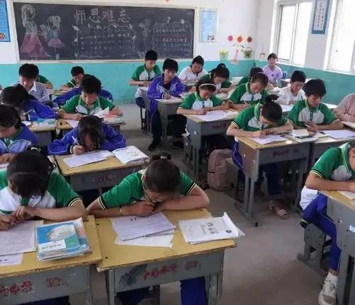 陪读多年，回头看才敢告诉你的小学几个真相！1、专家说小学成绩不重要，但他没告诉